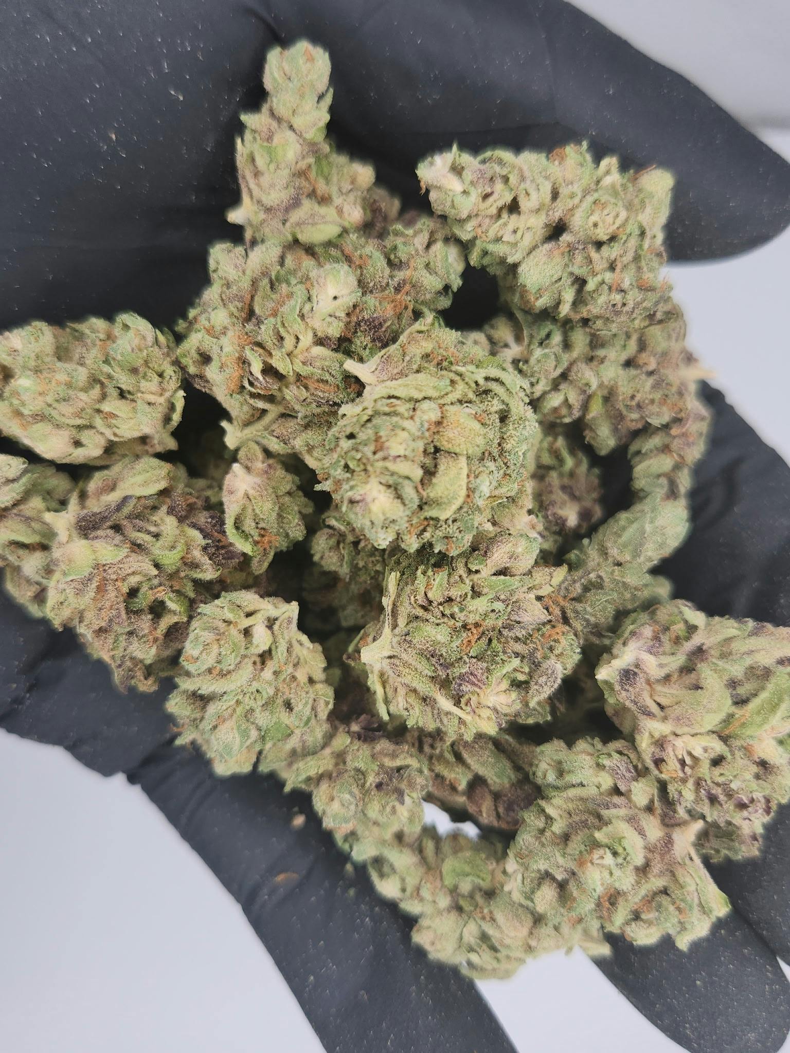 Fresh Canna | Bulk Bud - Durban Poison
