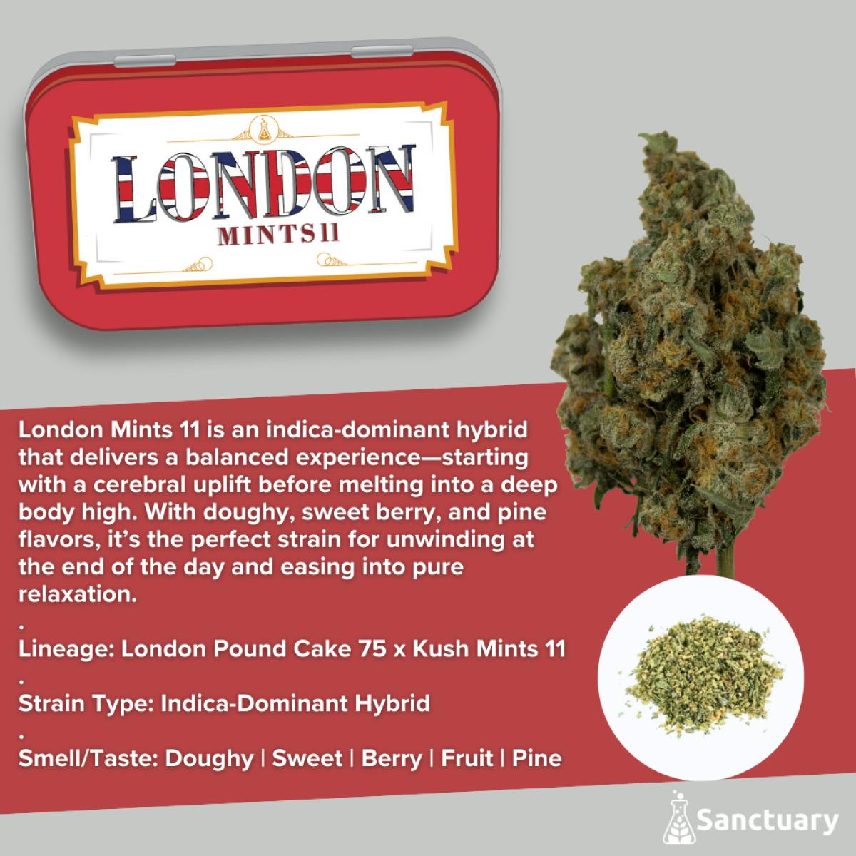 Sanctuary - Pre-Ground 14g - London Mints