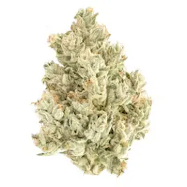 Flower category image