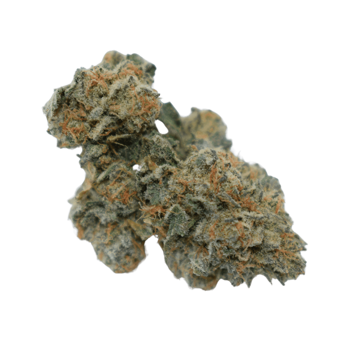Image of Breezy Dream House Flower