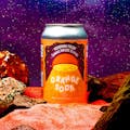 Wellspring Fields: Orange Soda Elixir - 49mg