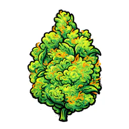 Flower category image