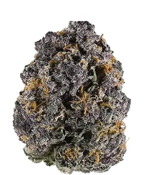 Product Trillianz Buds