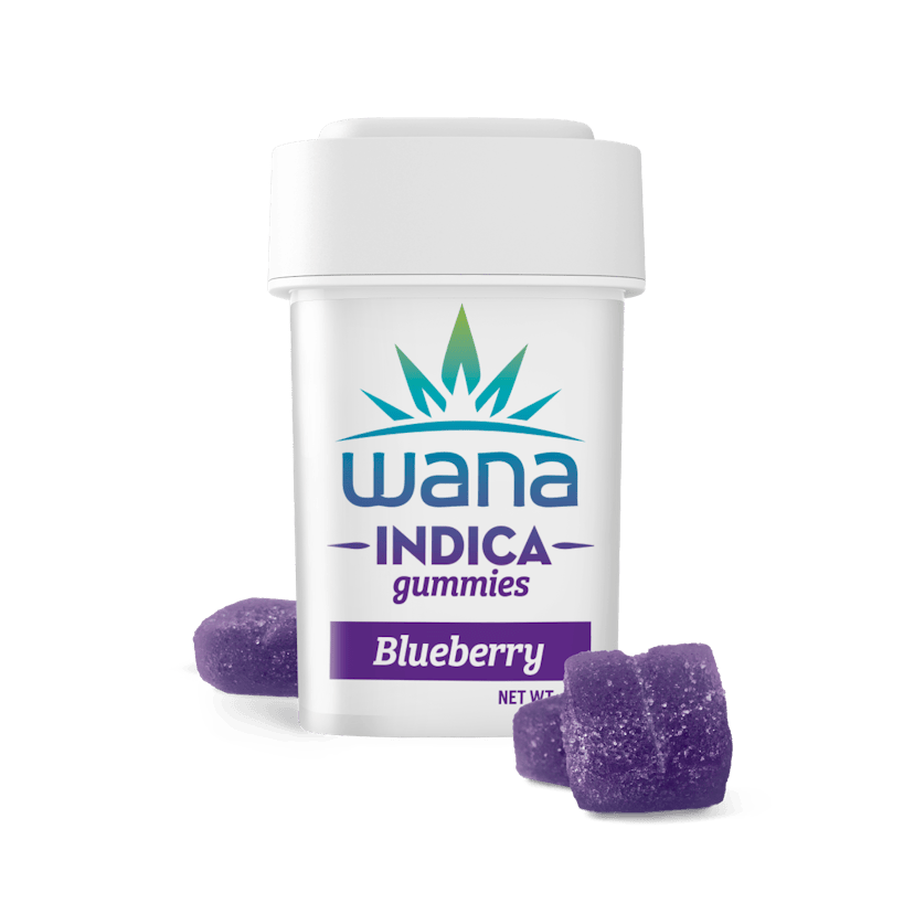 Classic Blueberry Indica Gummies [10 pack] | 200mg