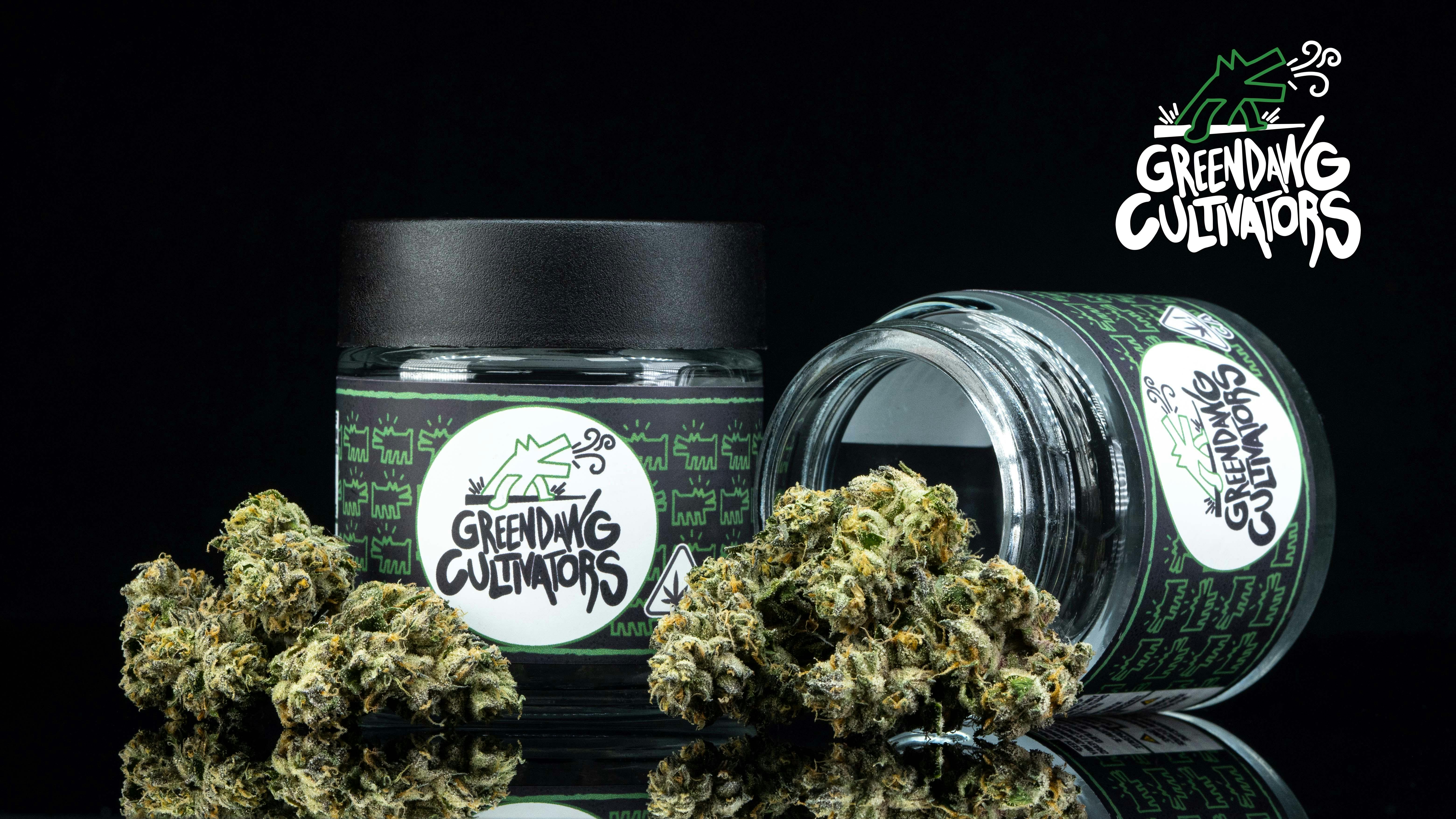 Shop Green Dawg Gelato X in Panama City | Cookies Florida