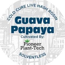 Product Nyce | Guava Papaya | Live Hash Rosin | 1g