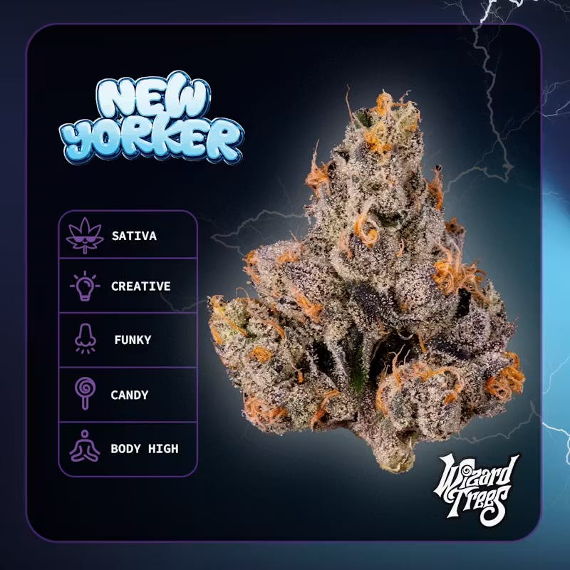 Wizard Trees | Flower | New Yorker | 3.5g | Sativa | THC 31.47% Wizard Trees