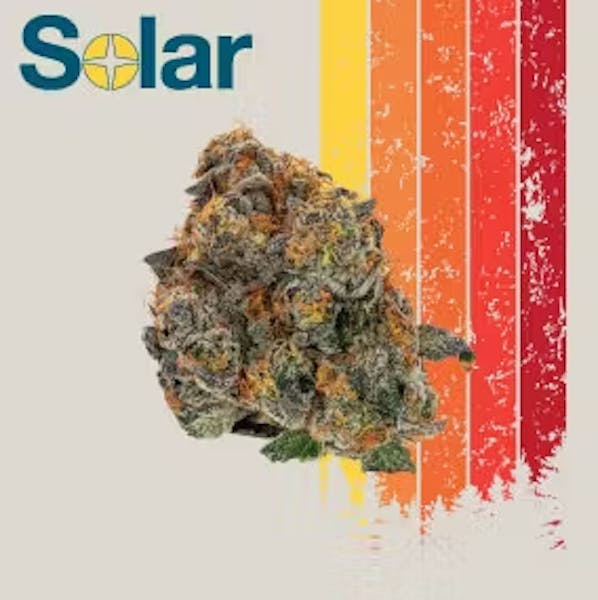 Sherb Cake (IH) - 3.5g - Solar Therapeutics