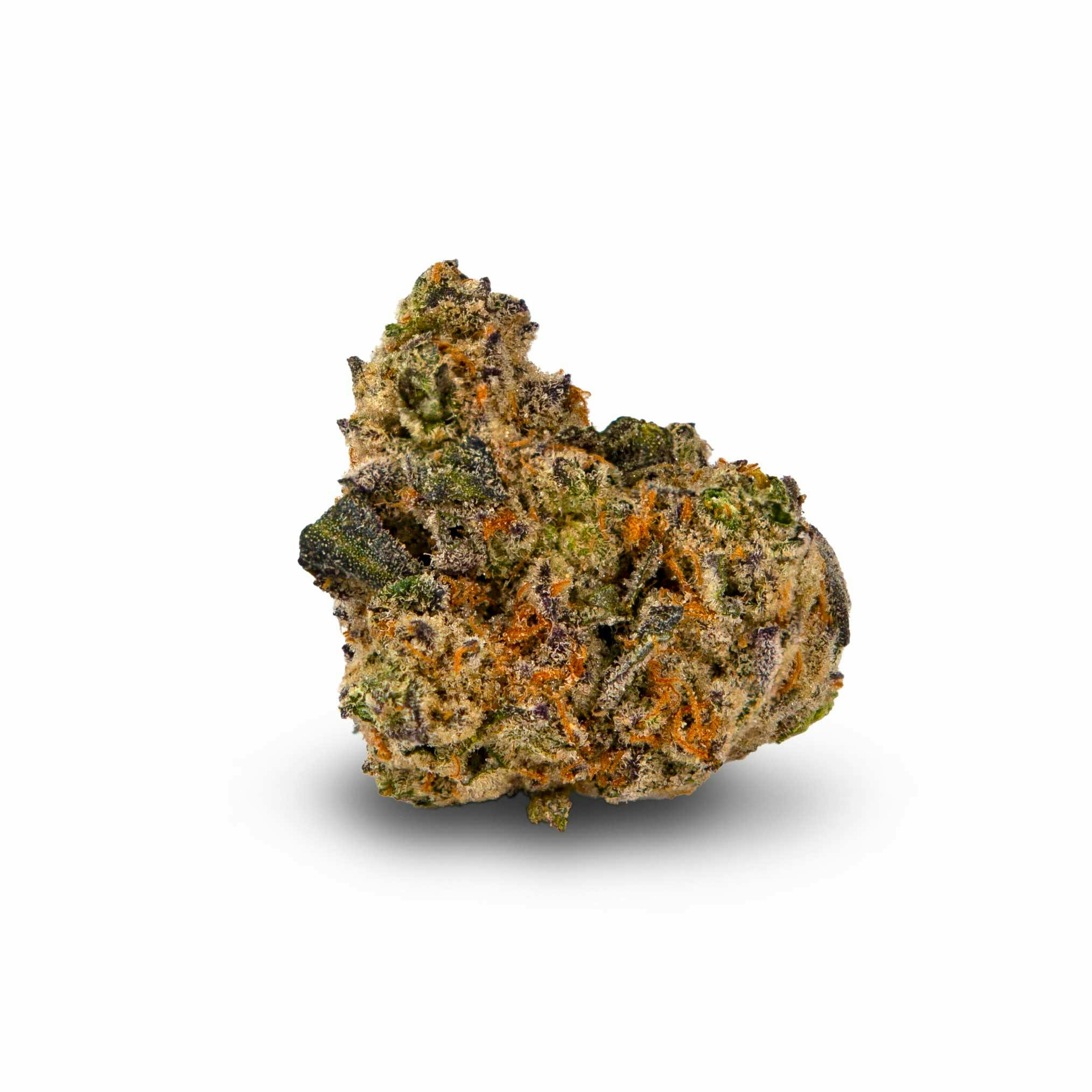 Animal Scout Whole Flower