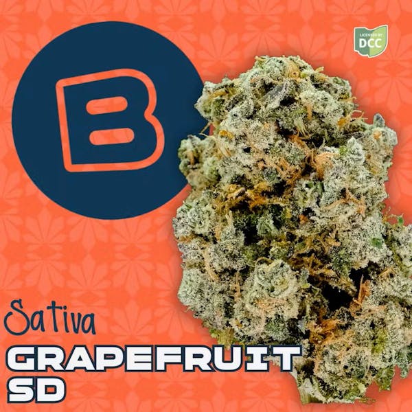 Tangie Dream 2.83g Flower | The Standard |