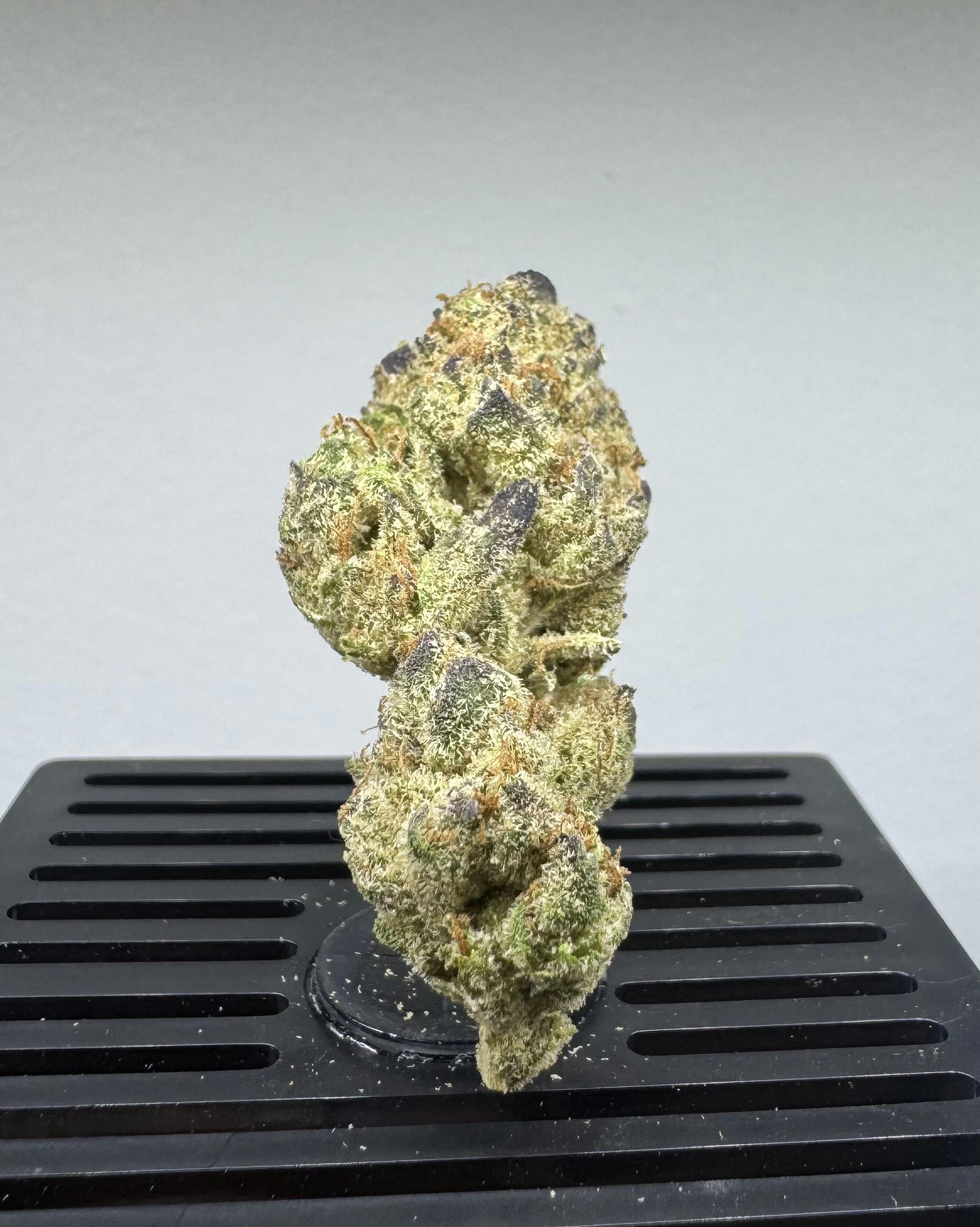 ⚪︎bizarrree⚪︎ ⚪︎bizarrree⚪︎