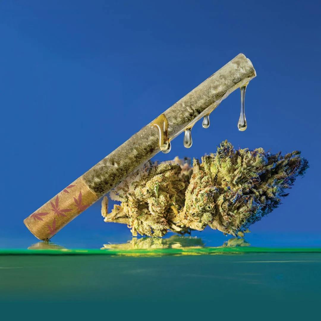 Grasshopper - 1g Infused Preroll - Ice Cream Cake