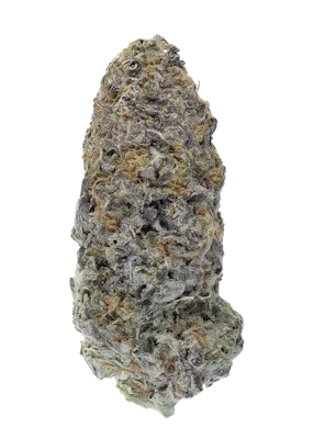 Bud Bar • Aura Canna Co. • Medical & Adult-Use Dispensary in RI and MA