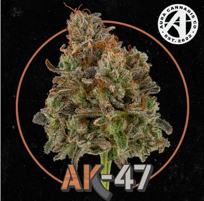 Aura | AK-47 | Flower