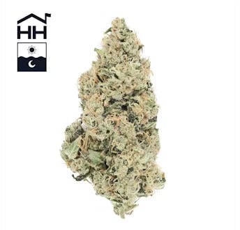 Aspen OG