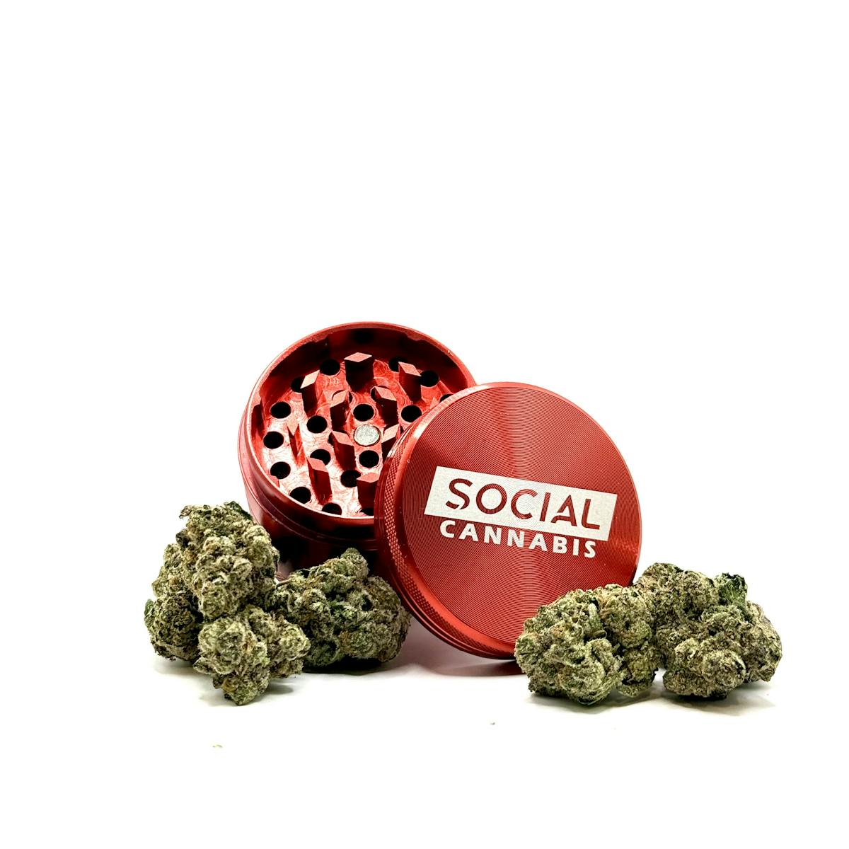 Photo of Silver Shelf – Kush Mints (H)
