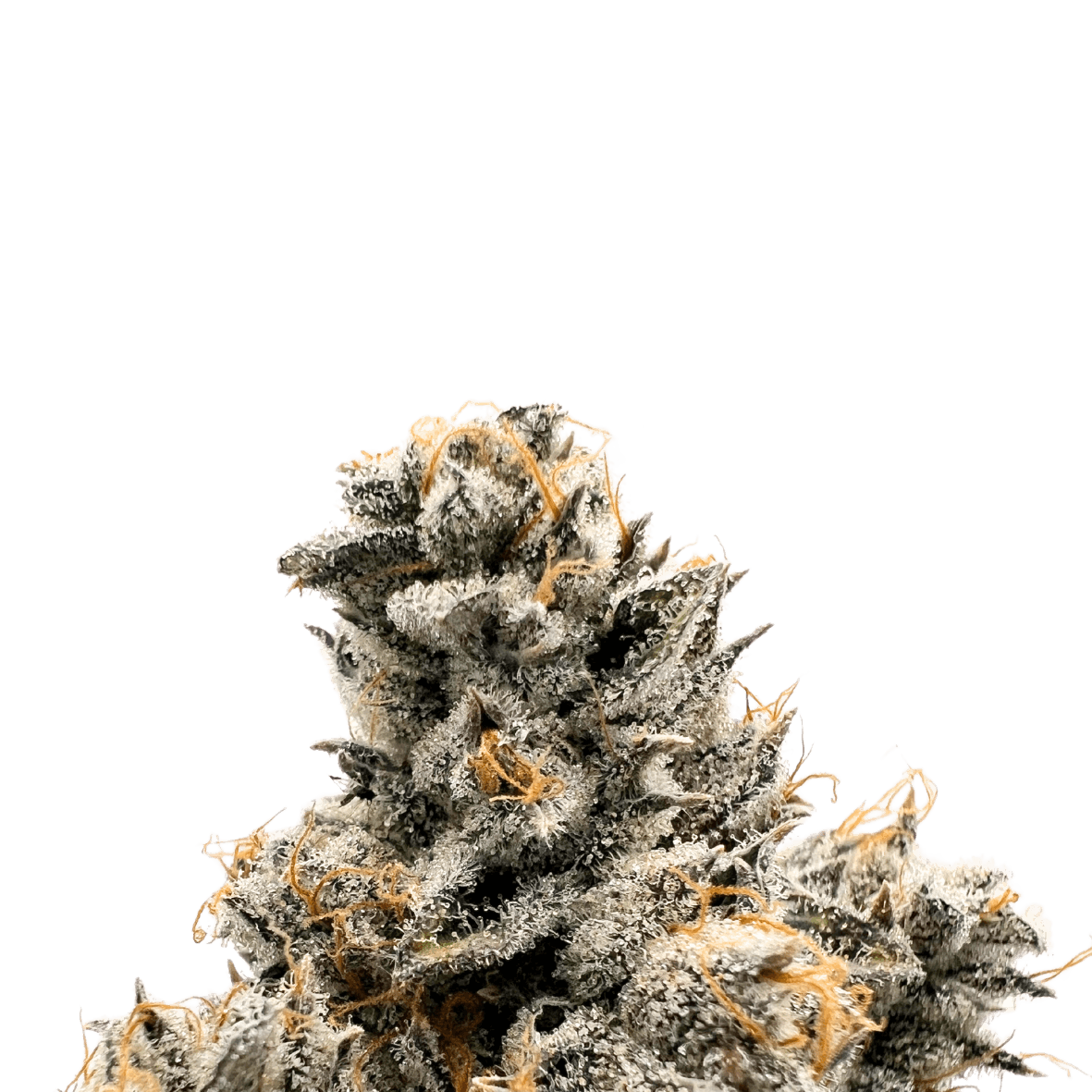Baked Chicken Premium Jar | LA Runtz