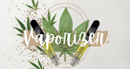 Vaporizers category image