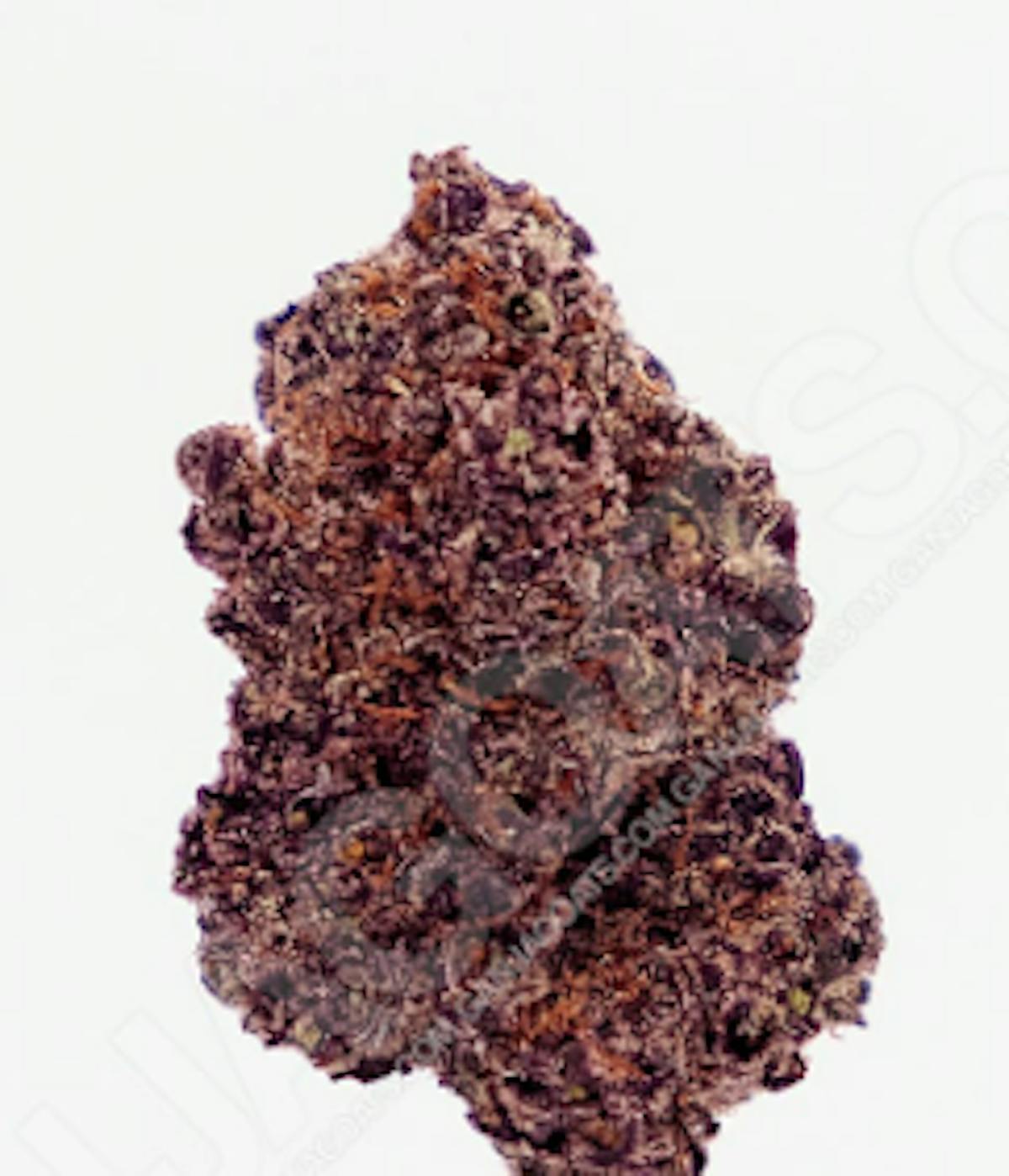 Image of Miami Mami | 3.5g Prepackaged Flower