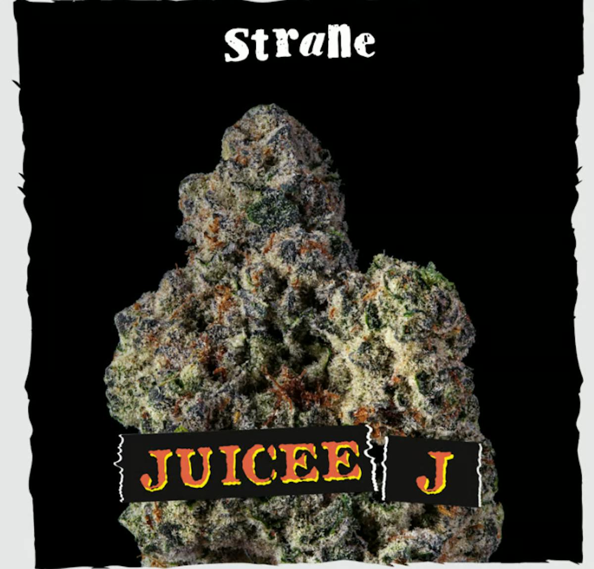 Photo of Strane Juicee J