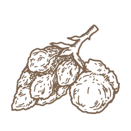 Flower category image