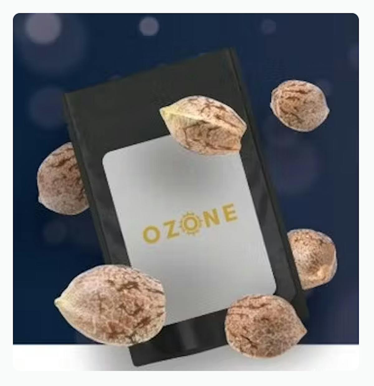 Photo of Ozone Amnesia Haze 5pk Feminized Seeds