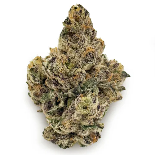 Voyage Bloom Red Hotz Prepack Rec-1