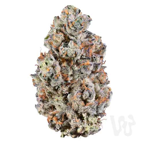 Lemon Cherry Sherbert | 5.66g-active