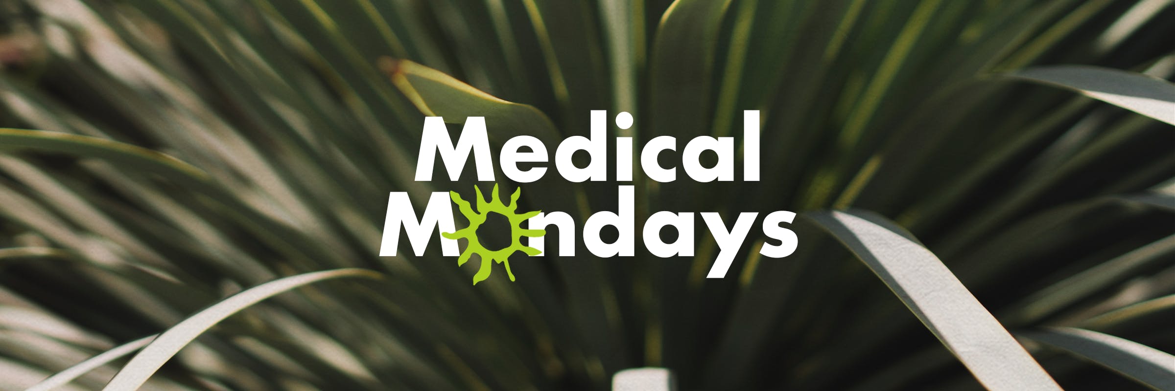 special monday