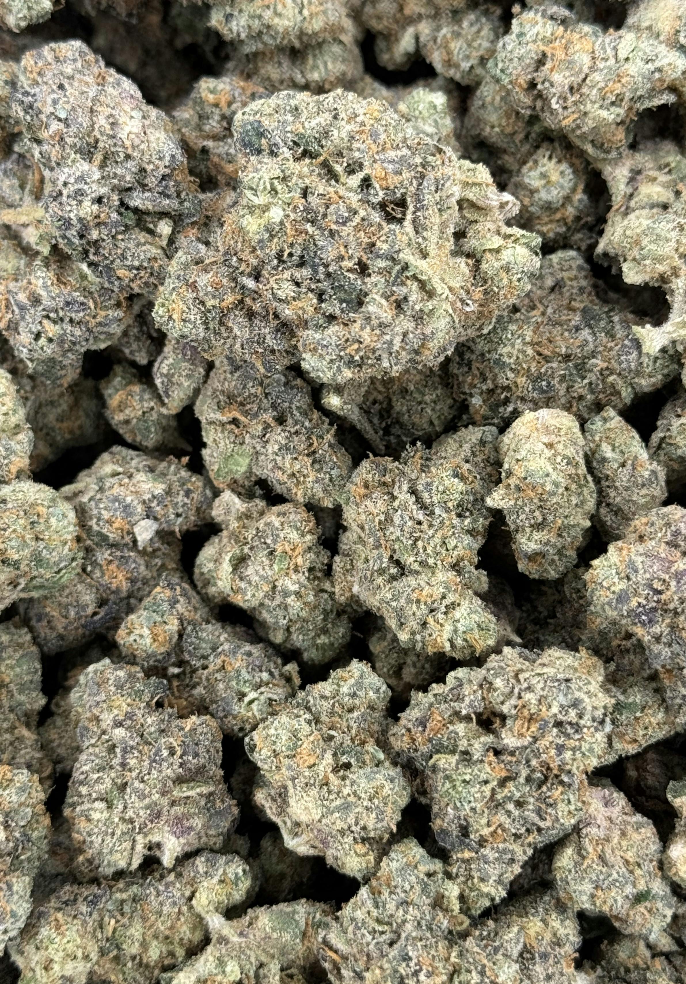 Orange Julius | Deli Flower ( Platinum )