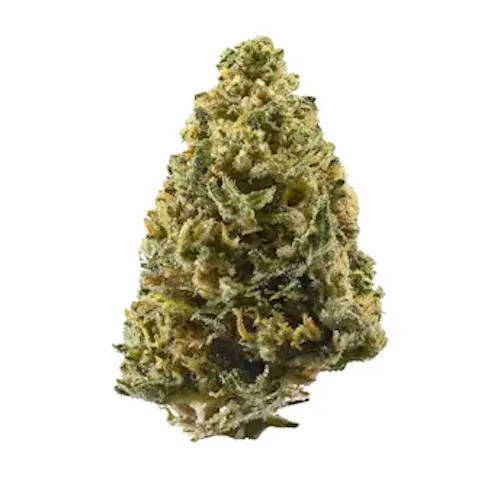 ADK HEMP CO | INDOOR FLOWER | PLATINUM LIFE BREATH (JAR) | 3.5G - Delivery  Site for HighStone