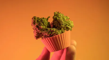 Edibles category image