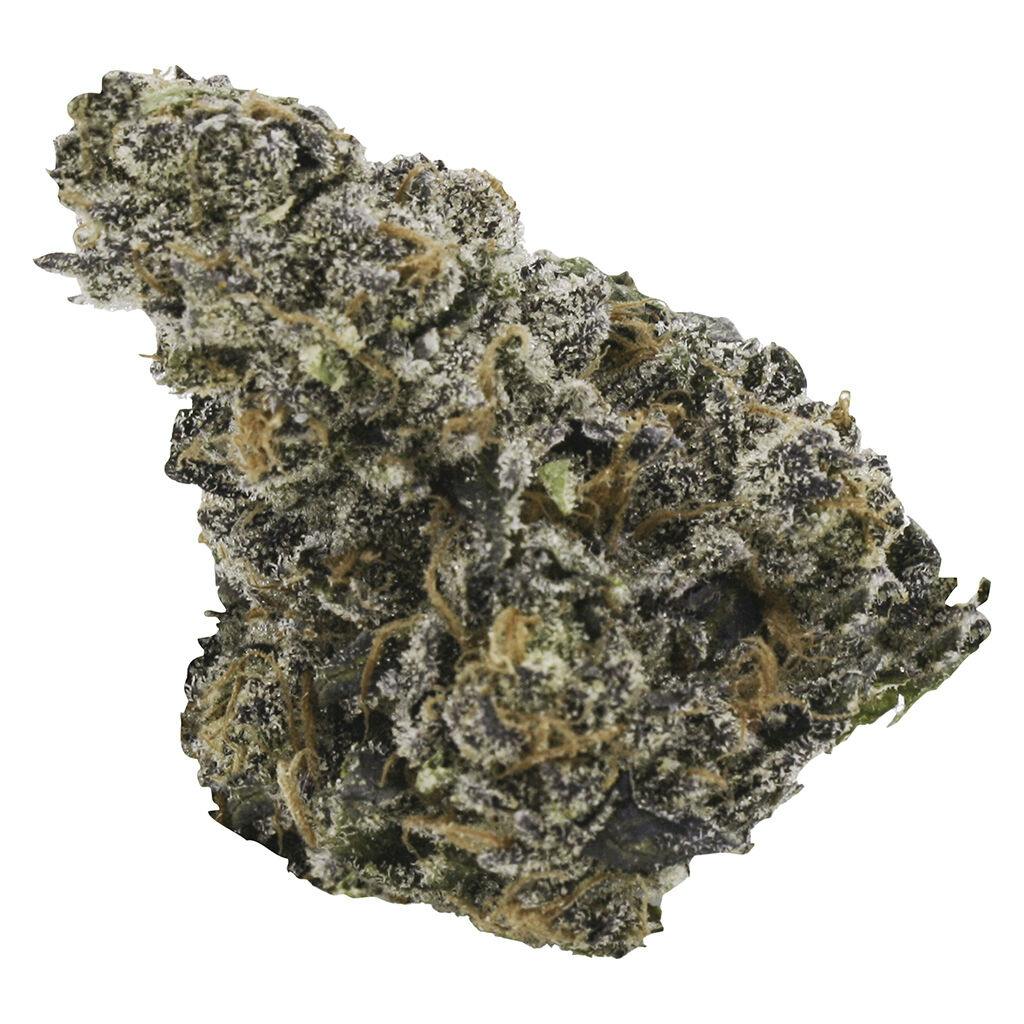 EastCann - Gastro Pop - Indica