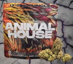 Flower | Animal House | Hells Kitchen | 3.5g