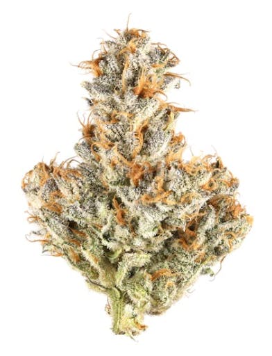 Flower | Platinum Reserve | White Truffle | 7g