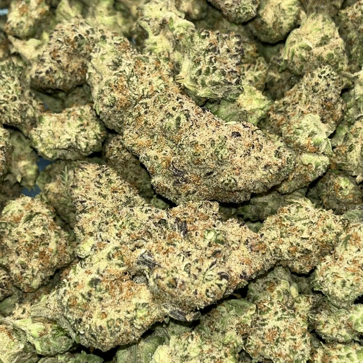 Photo of Platinum Shelf- Memberberry (H)