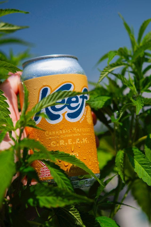 Keef: C.R.E.A.M. Xtreme Classic Soda 12oz