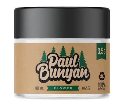 Mission (South Chicago)