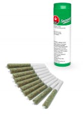 Kiwi Lime Punch Pre-Roll 10-pack | 3.5g
