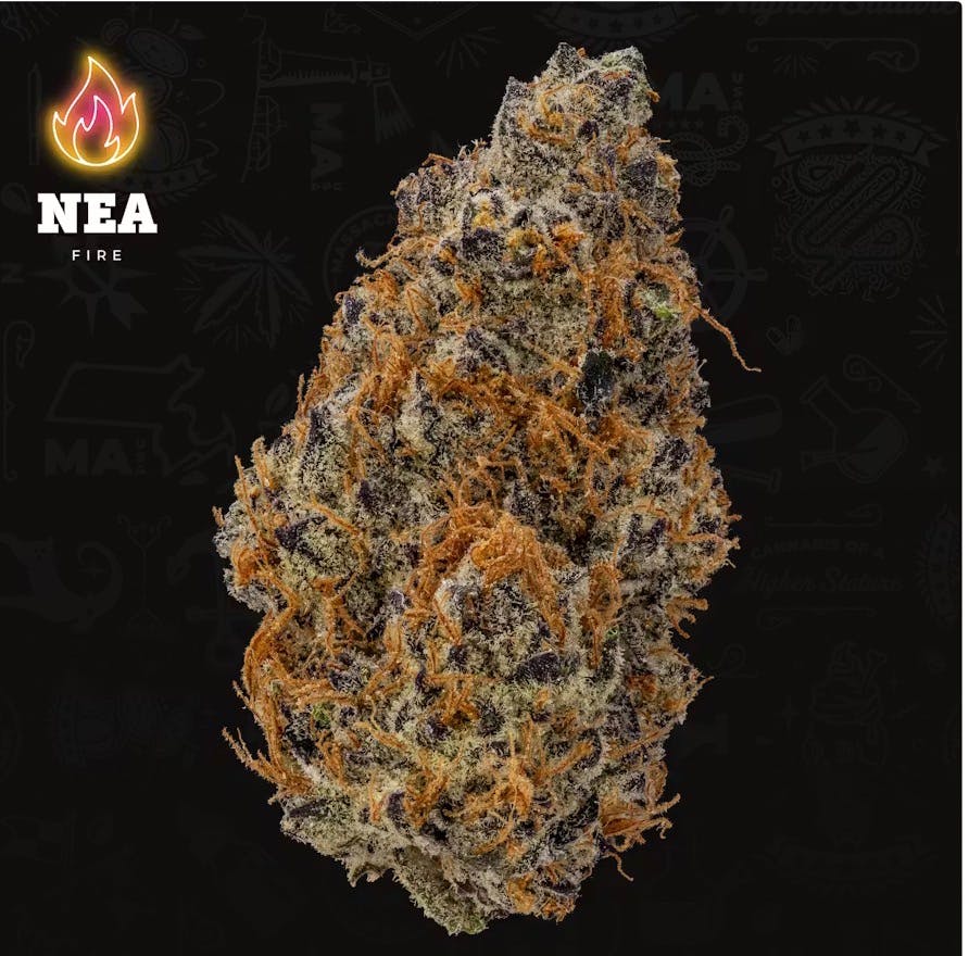 Product NEA Fire | Garlicane | Flower