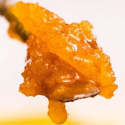 Grape Pie Bx1 - Budder 1g