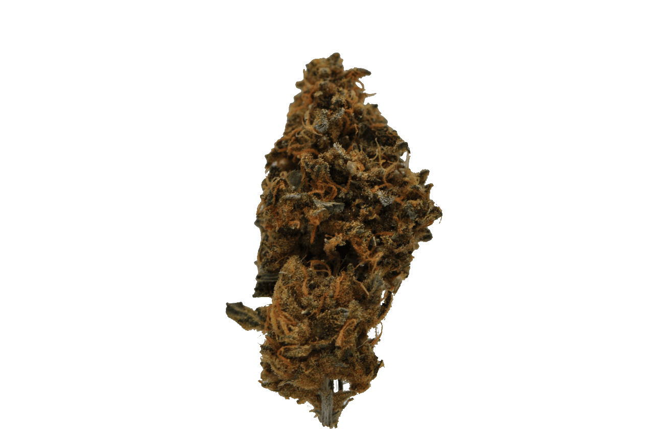image of Caribbean Breeze | 3.5g Prepackaged Flower