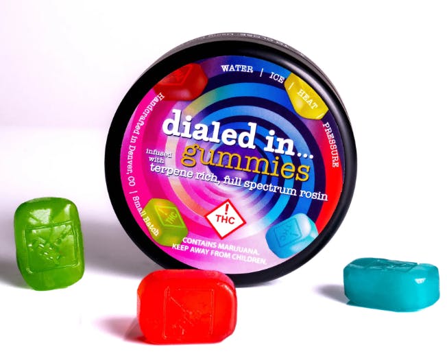 Photo of Dialed In – Rosin Gummies – Sobakowa (H) 100mg