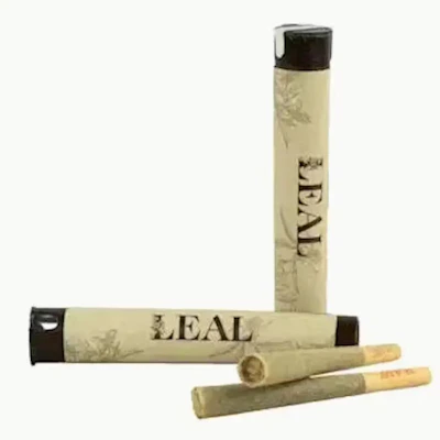 Leal - 1g Preroll - Platinum Lemon Cherry Gelato