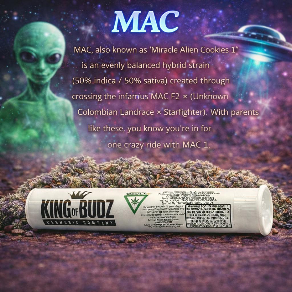 KOB - 1g Preroll - MAC