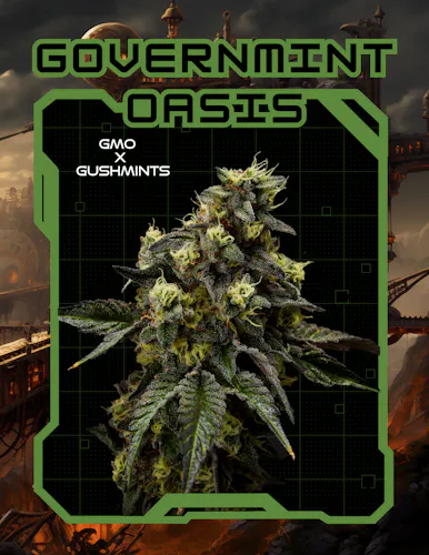 Flower – Government Oasis-1