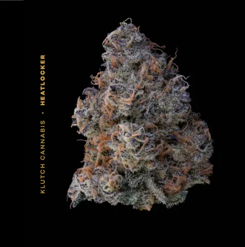 Heatlocker | 2.83g-active