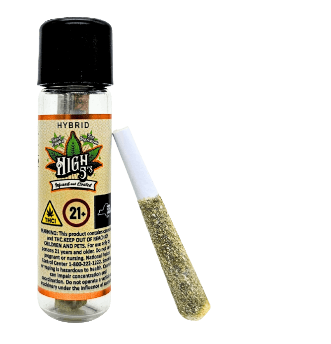 Black Cherry Soda x Sour Amnesia | Infused | Single