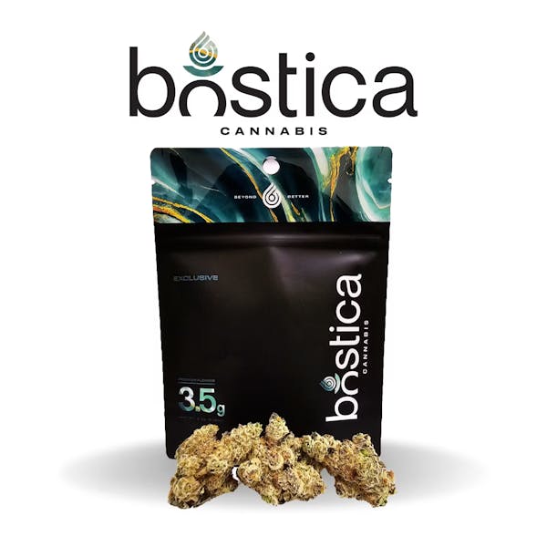 GP4 (IH) - 3.5 G - Bostica LLC