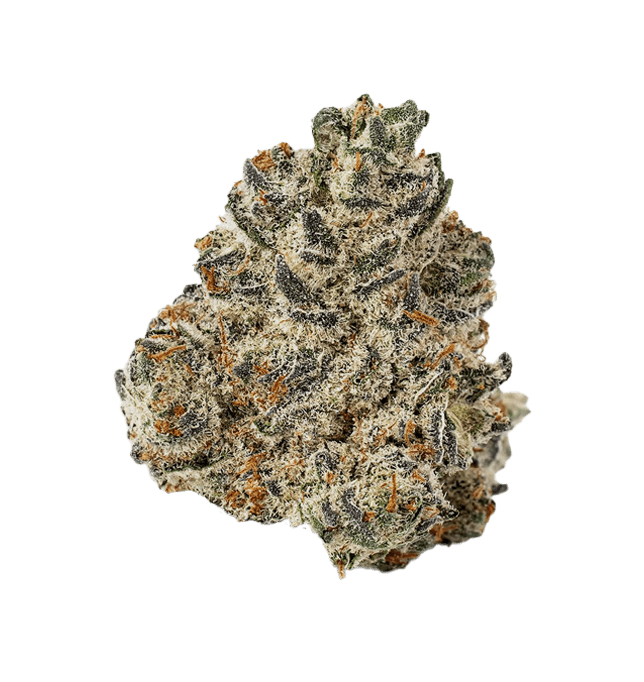 MPX Select Oroz Flower - 